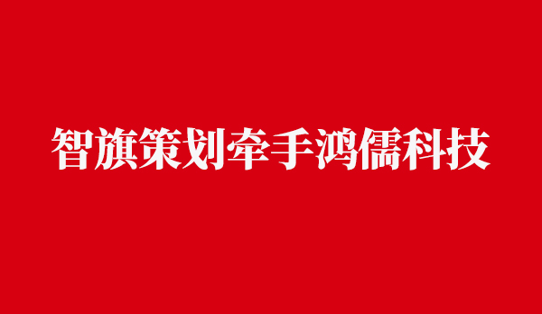 智旗策划牵手鸿儒科技，合力开展孕婴补铁市场