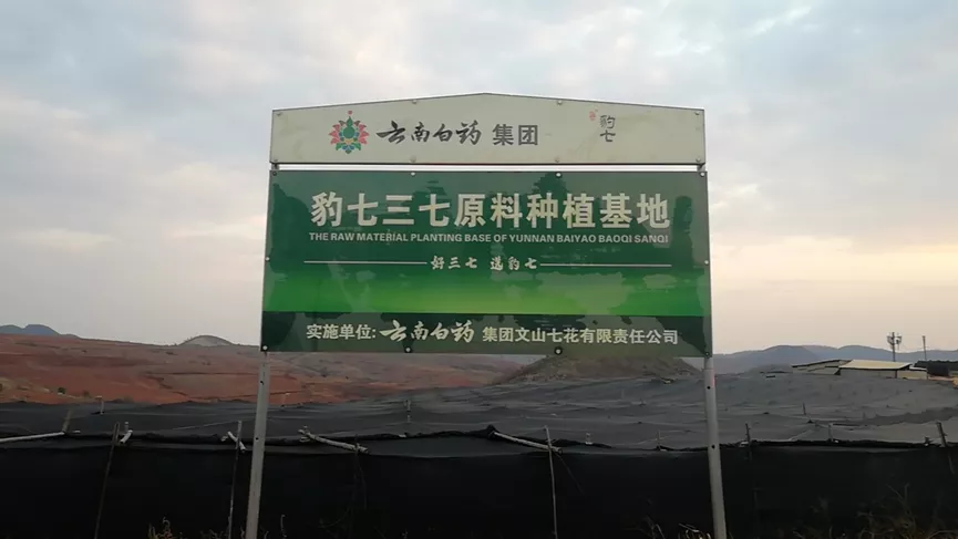 WPS图片(1).png